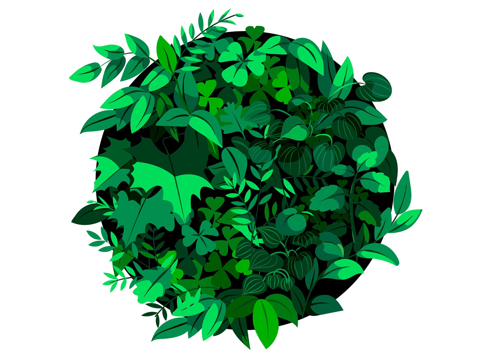 illustration of a circle with green plants